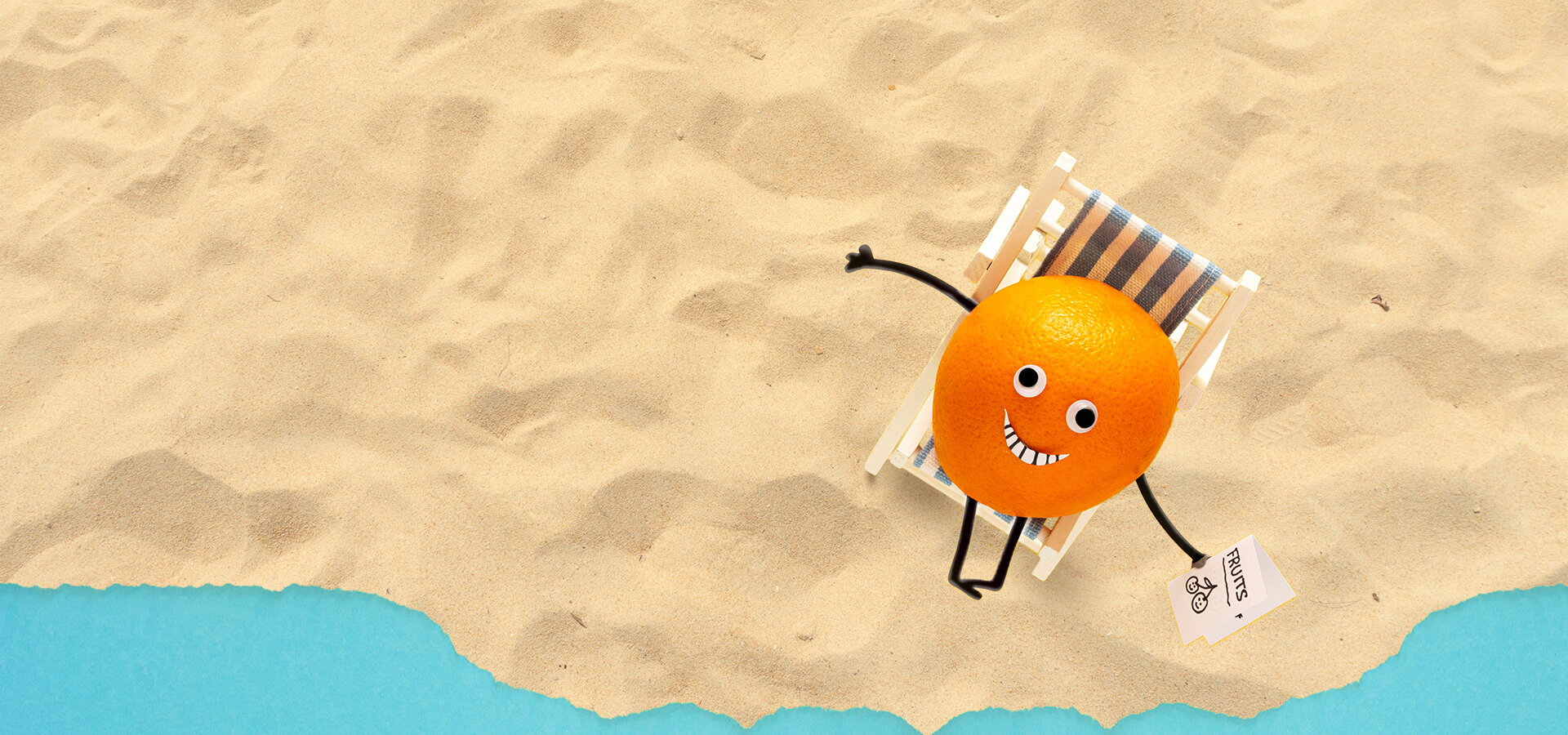 Website portfolio comp